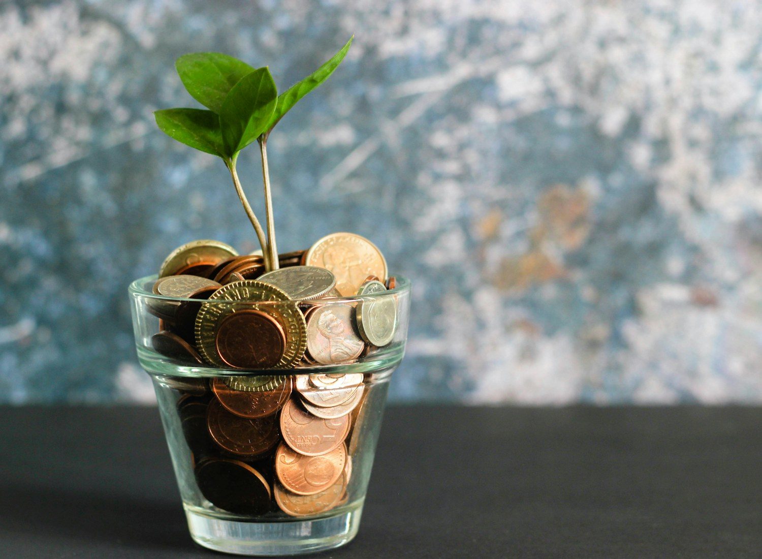 Crédito y finanzas a tu alcance con Fijo Crédito